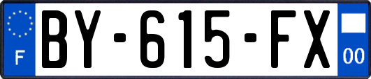 BY-615-FX