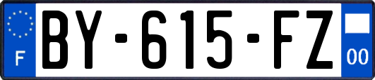 BY-615-FZ