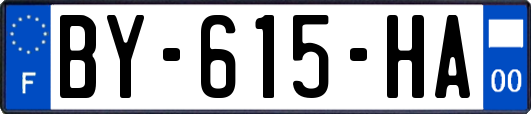 BY-615-HA