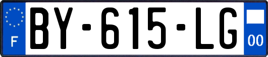 BY-615-LG