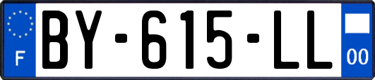 BY-615-LL