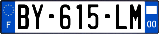 BY-615-LM