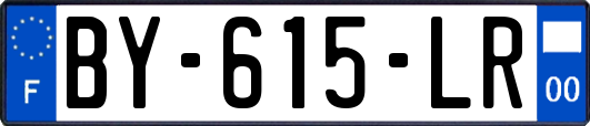 BY-615-LR