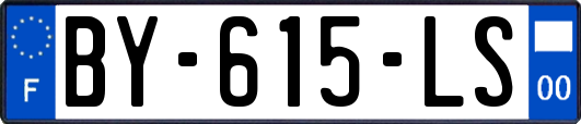 BY-615-LS