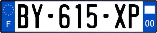 BY-615-XP