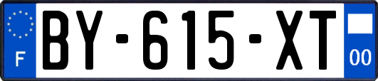 BY-615-XT