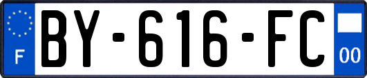 BY-616-FC