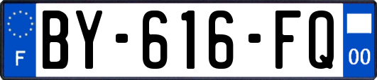 BY-616-FQ