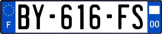 BY-616-FS