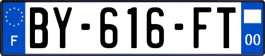 BY-616-FT