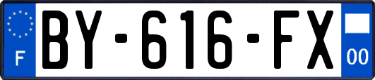 BY-616-FX