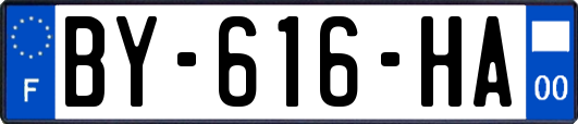 BY-616-HA