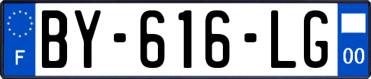 BY-616-LG