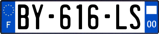 BY-616-LS