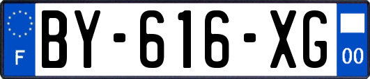 BY-616-XG
