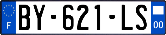 BY-621-LS