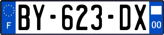 BY-623-DX