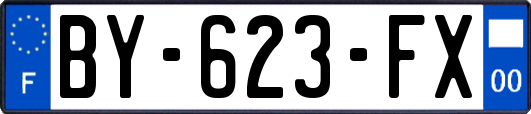 BY-623-FX