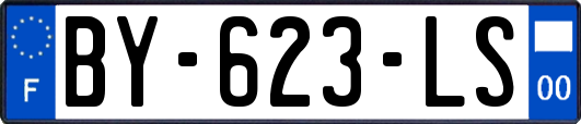 BY-623-LS