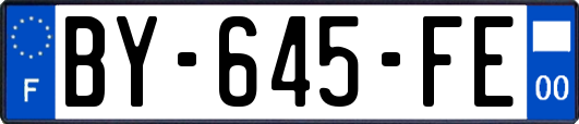 BY-645-FE