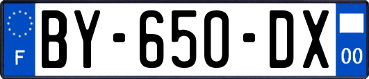 BY-650-DX