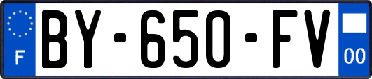 BY-650-FV