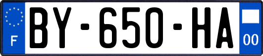 BY-650-HA