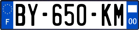 BY-650-KM