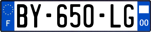 BY-650-LG