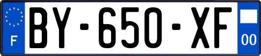BY-650-XF