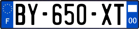 BY-650-XT