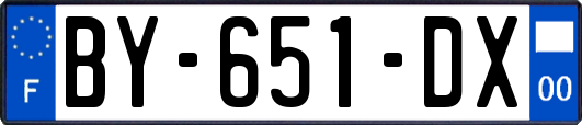 BY-651-DX