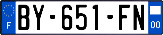 BY-651-FN