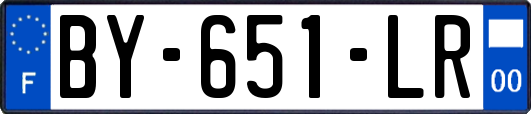 BY-651-LR