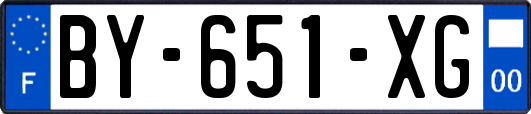 BY-651-XG