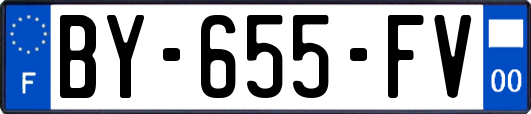 BY-655-FV