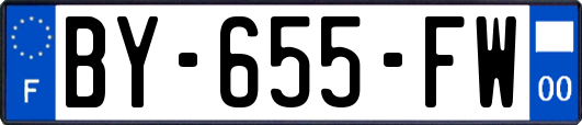BY-655-FW