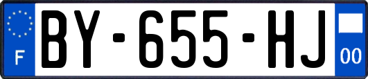 BY-655-HJ