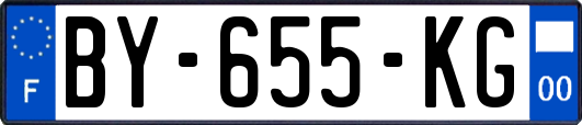 BY-655-KG