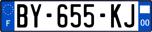 BY-655-KJ