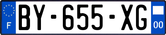 BY-655-XG