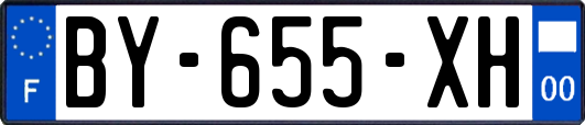 BY-655-XH
