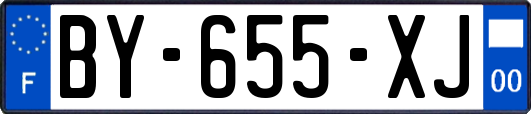 BY-655-XJ