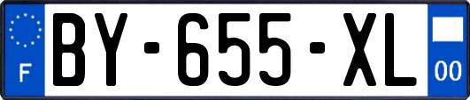 BY-655-XL