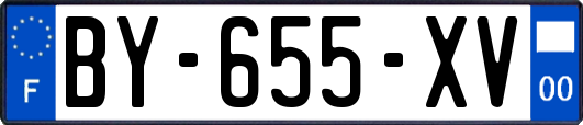 BY-655-XV