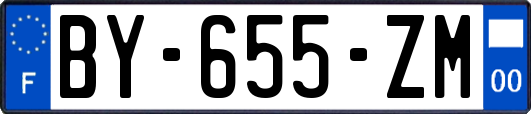 BY-655-ZM