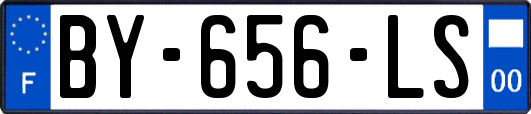BY-656-LS