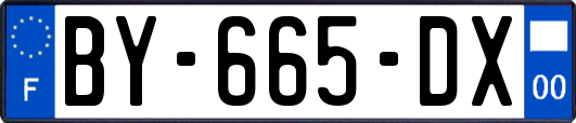 BY-665-DX