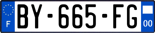 BY-665-FG