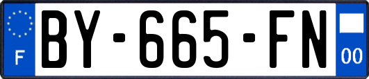 BY-665-FN
